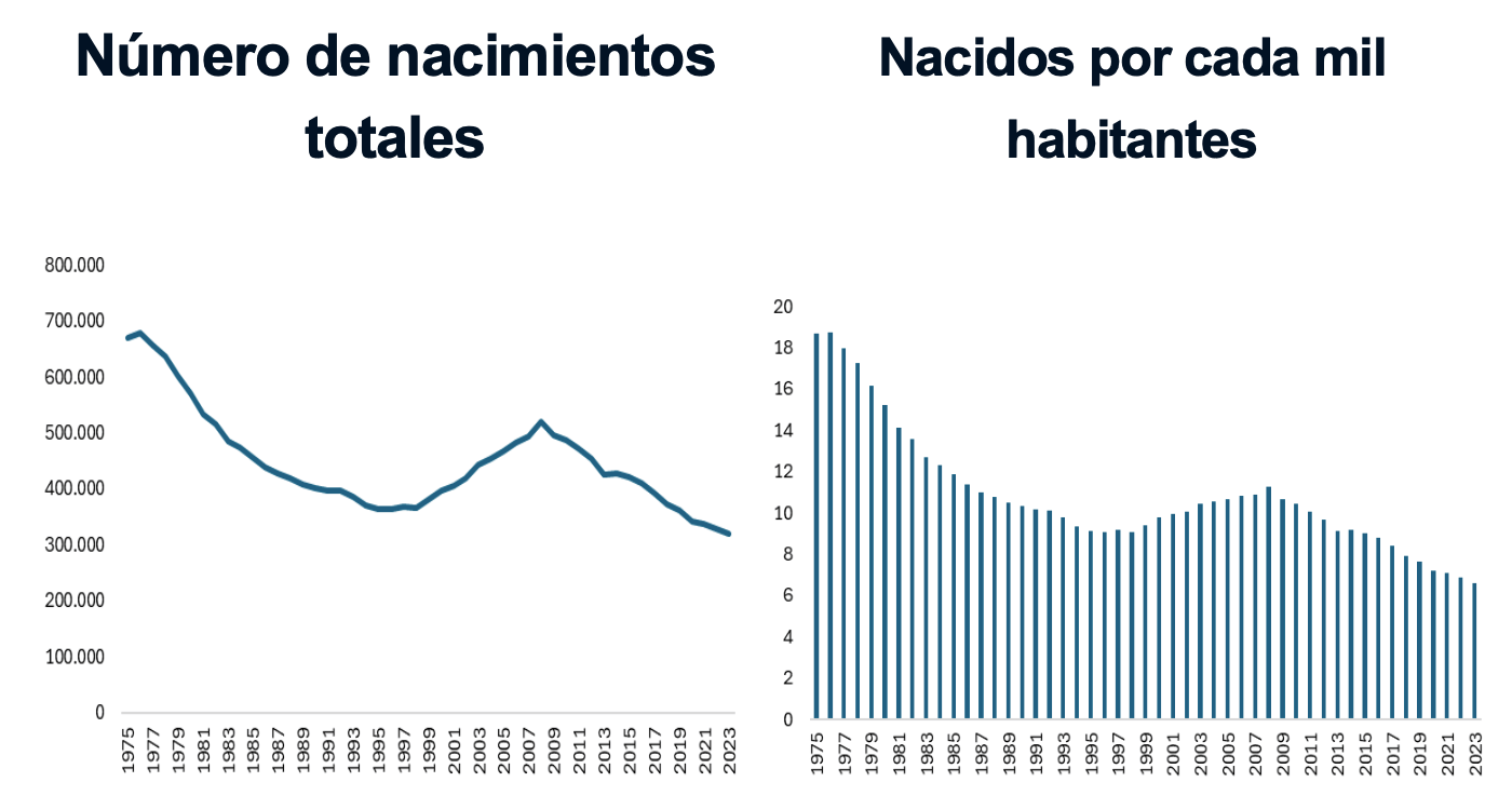 Gráfico 3: Nacimientos en España